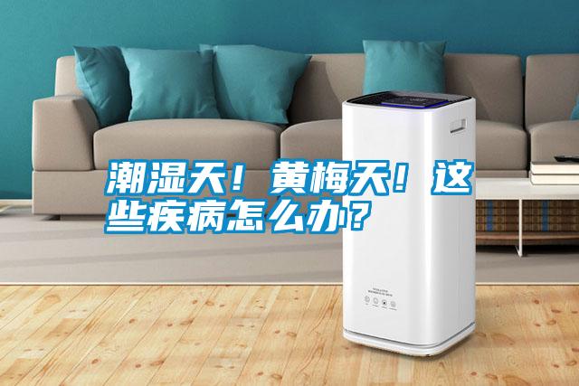 潮湿天!黄梅天!这些疾病怎么办?