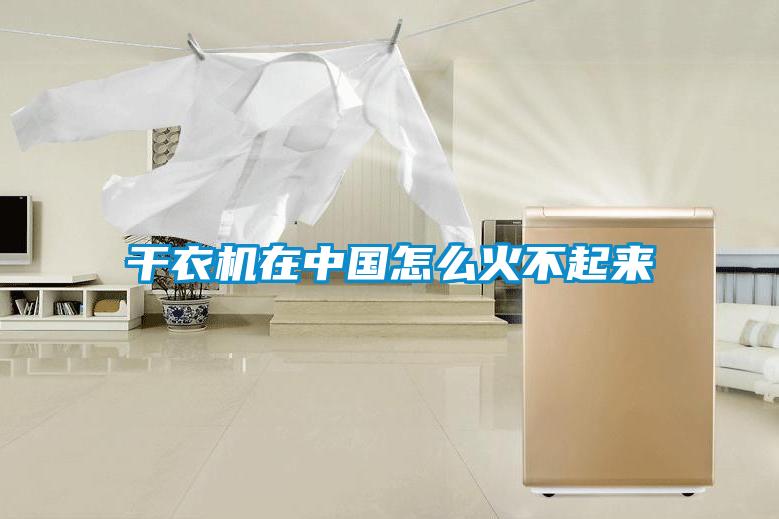 干衣机在中国怎么火不起来