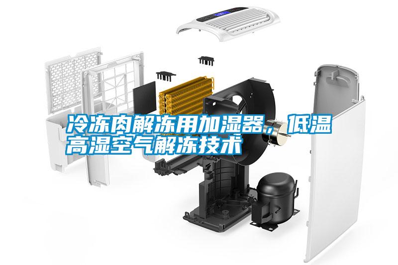 冷冻肉解冻用加湿器,低温高湿空气解冻技术