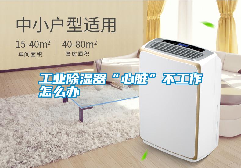工业除湿器“心脏”不工作怎么办