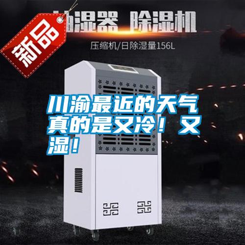 川渝最近的天气真的是又冷!又湿!