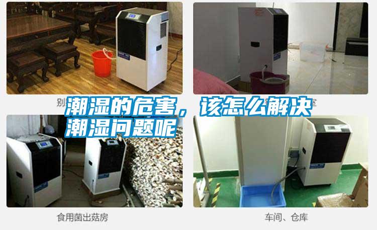 潮湿的危害,该怎么解决潮湿问题呢