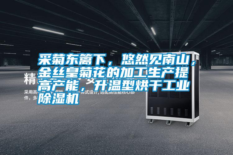 采菊东篱下,悠然见南山,金丝皇菊花的加工生产提高产能,升温型烘干宝马电子游戏平台网址