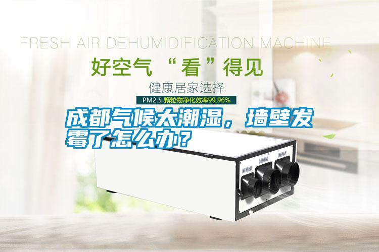 成都气候太潮湿,墙壁发霉了怎么办?