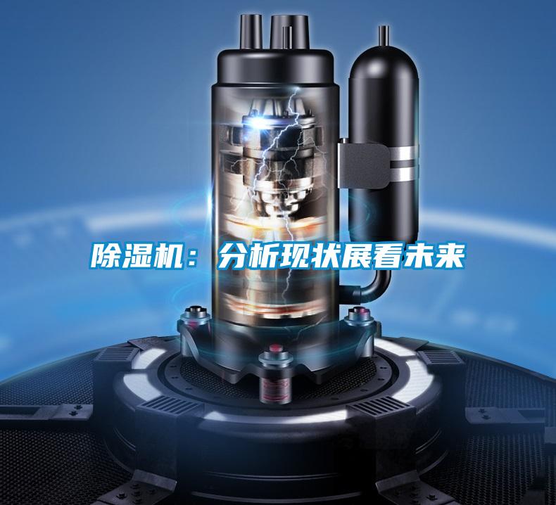 除湿机:分析现状展看未来