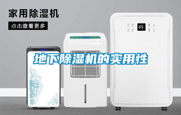 地下除湿机的实用性