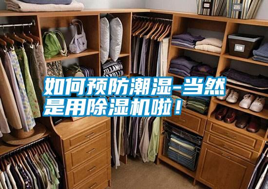 如何预防潮湿-当然是用除湿机啦!