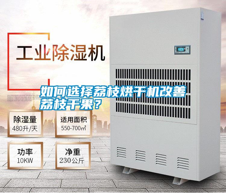 如何选择荔枝烘干机改善荔枝干果?