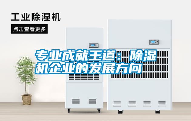 专业成就王道:除湿机企业的发展方向