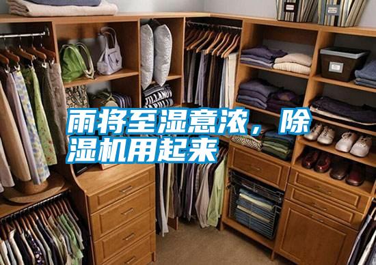 雨将至湿意浓,除湿机用起来