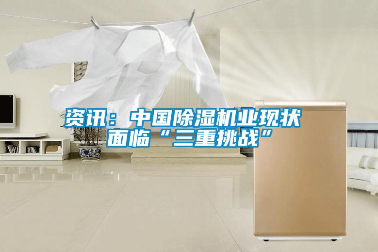 资讯:中国除湿机业现状 面临“三重挑战”