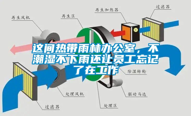 这间热带雨林办公室,不潮湿不下雨还让员工忘记了在工作