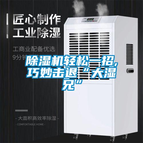 除湿机轻松一招,巧妙击退“大湿兄”