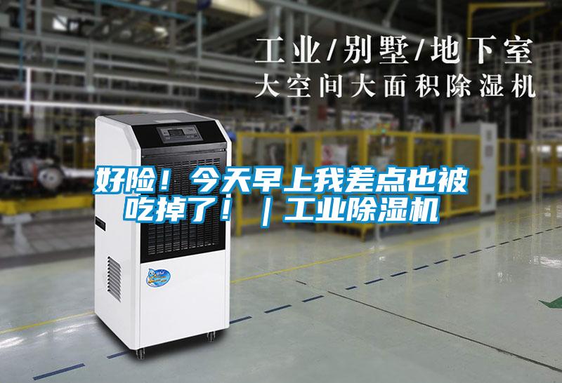 好险!今天早上我差点也被吃掉了!|宝马电子游戏平台网址