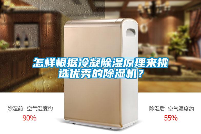 怎样根据冷凝除湿原理来挑选优秀的除湿机?