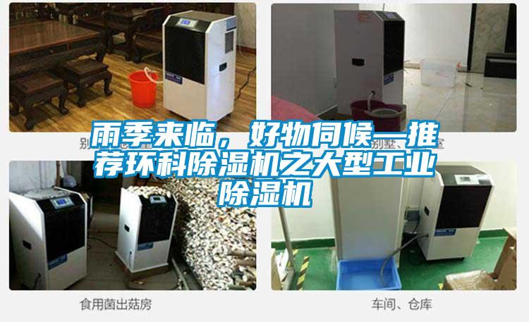 雨季来临,好物伺候—推荐环科除湿机之大型宝马电子游戏平台网址