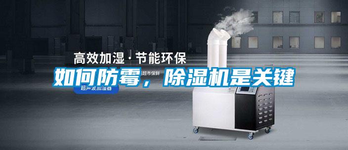 如何防霉,除湿机是关键