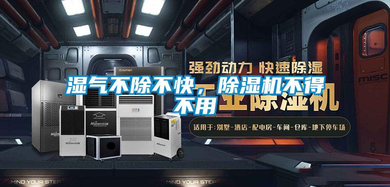 湿气不除不快,除湿机不得不用