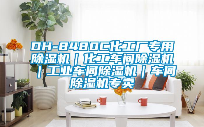 DH-8480C化工厂专用除湿机|化工车间除湿机|工业车间除湿机|车间除湿机专卖