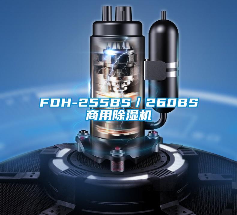 FDH-255BS/260BS商用除湿机