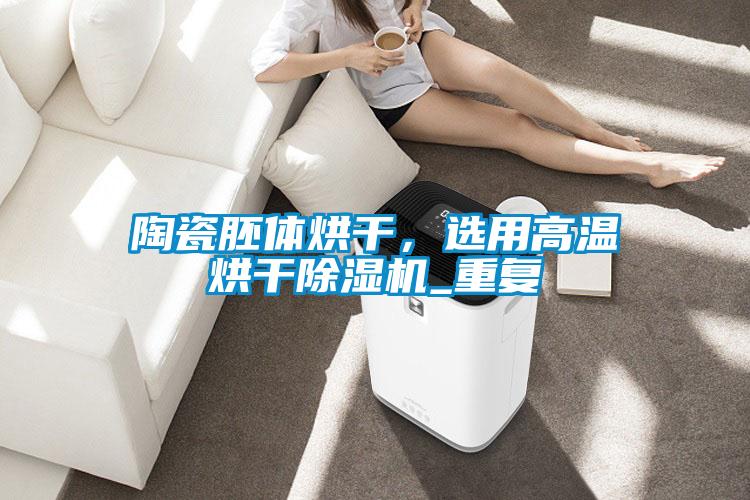 陶瓷胚体烘干,选用高温烘干除湿机_重复