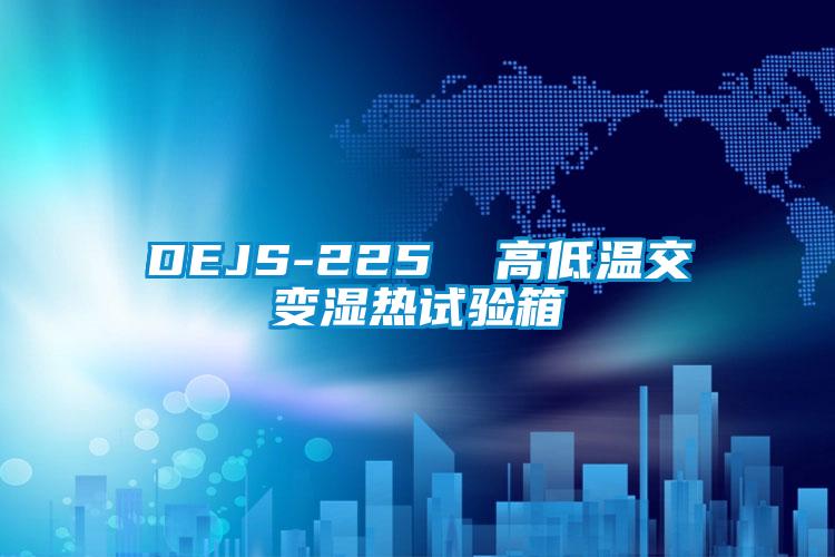 DEJS-225 高低温交变湿热试验箱