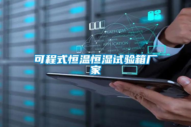 可程式恒温恒湿试验箱厂家