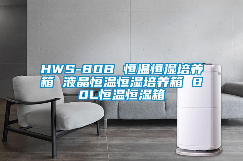 HWS-80B 恒温恒湿培养箱 液晶恒温恒湿培养箱 80L恒温恒湿箱