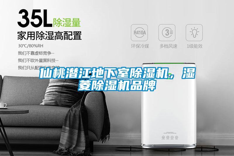仙桃潜江地下室除湿机,湿菱除湿机品牌