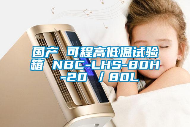 国产 可程高低温试验箱 NBC-LHS-80H -20℃/80L
