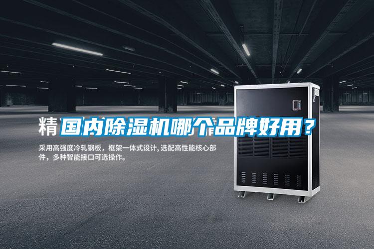 国内除湿机哪个品牌好用?