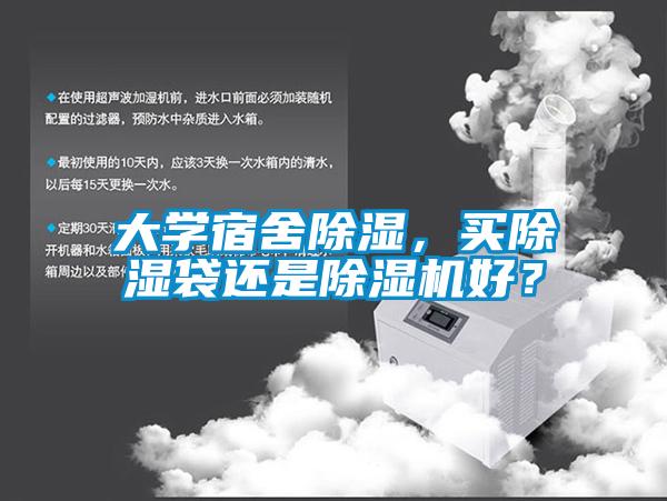 大学宿舍除湿,买除湿袋还是除湿机好?