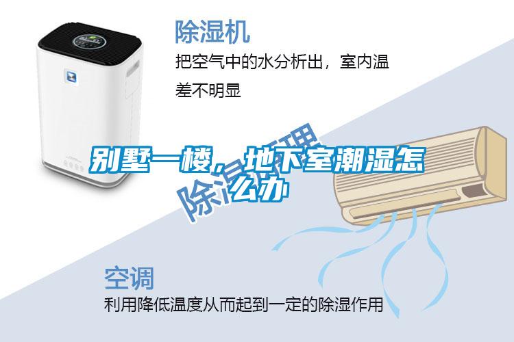 别墅一楼,地下室潮湿怎么办