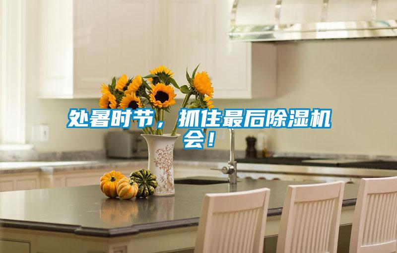 处暑时节,抓住最后除湿机会!