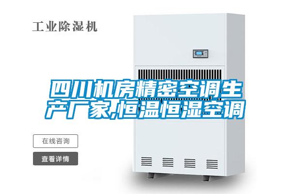 四川机房精密空调生产厂家,恒温恒湿空调