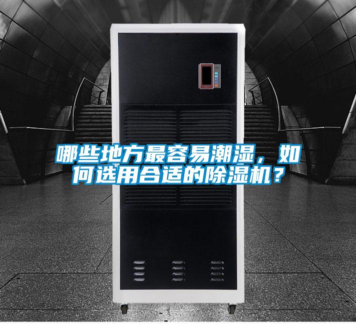 哪些地方最容易潮湿,如何选用合适的除湿机?
