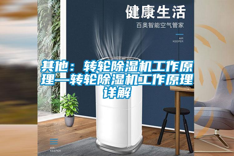 其他:转轮除湿机工作原理—转轮除湿机工作原理详解