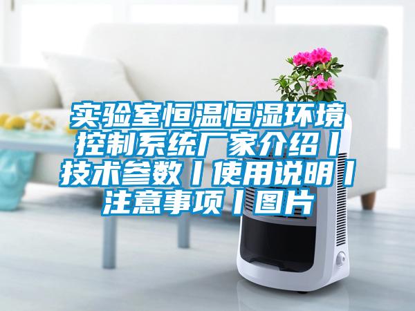 实验室恒温恒湿环境控制系统厂家介绍丨技术参数丨使用说明丨注意事项丨图片