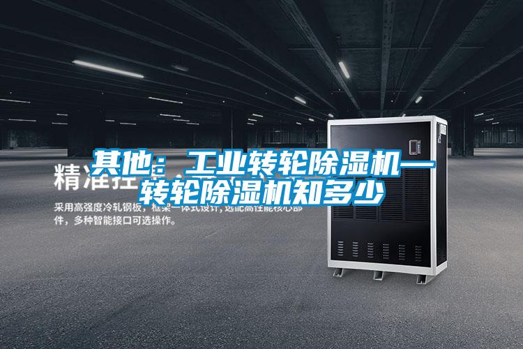 其他:工业转轮除湿机—转轮除湿机知多少