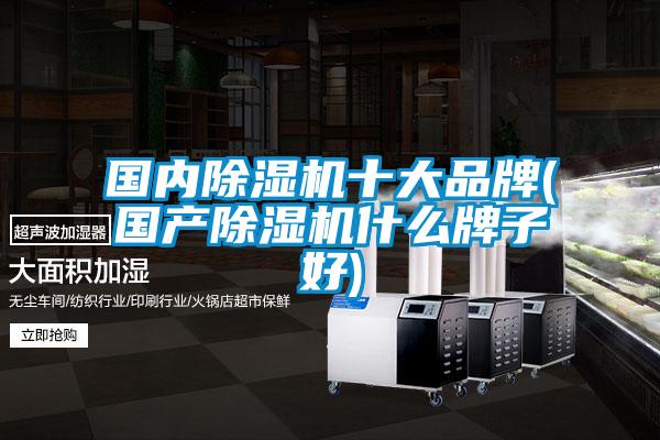 国内除湿机十大品牌(国产除湿机什么牌子好)