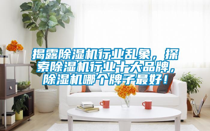 揭露除湿机行业乱象,探索除湿机行业十大品牌,除湿机哪个牌子最好!