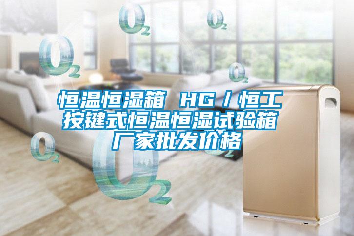 恒温恒湿箱 HG/恒工 按键式恒温恒湿试验箱 厂家批发价格
