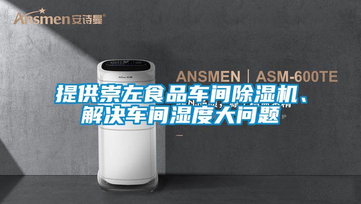 提供崇左食品车间除湿机、解决车间湿度大问题