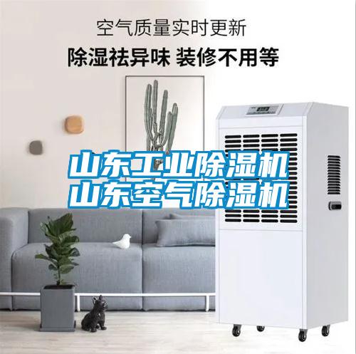 山东宝马电子游戏平台网址
山东空气除湿机