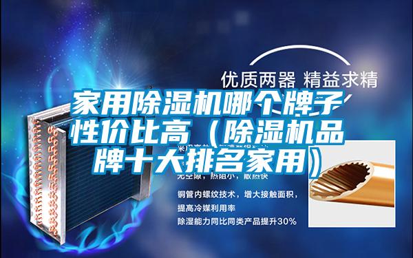 家用除湿机哪个牌子性价比高(除湿机品牌十大排名家用)