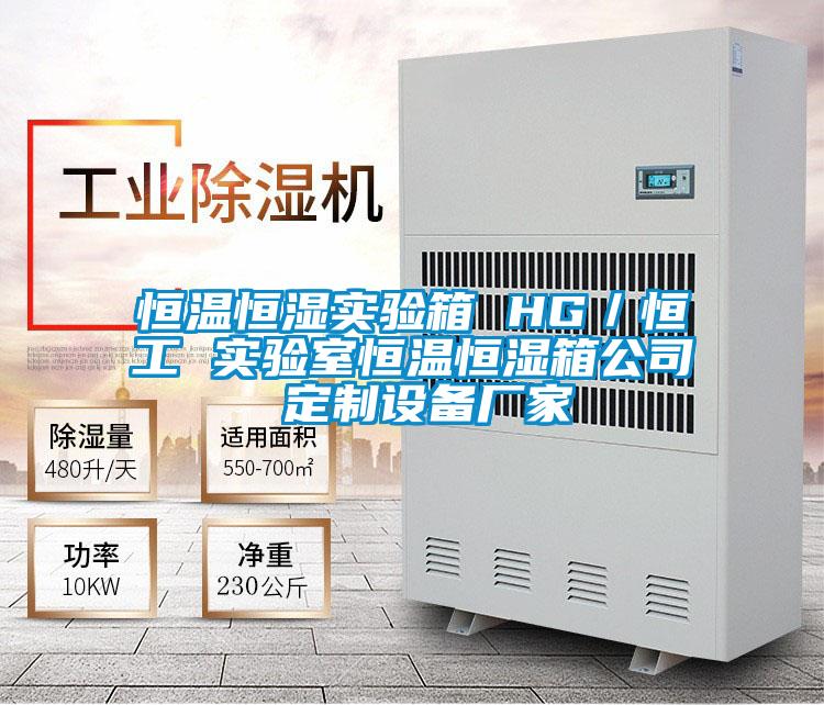 恒温恒湿实验箱 HG/恒工 实验室恒温恒湿箱公司 定制设备厂家