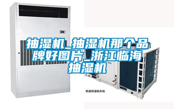 抽湿机_抽湿机那个品牌好图片_浙江临海抽湿机