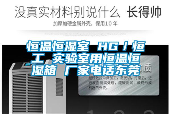 恒温恒湿室 HG/恒工 实验室用恒温恒湿箱 厂家电话东莞