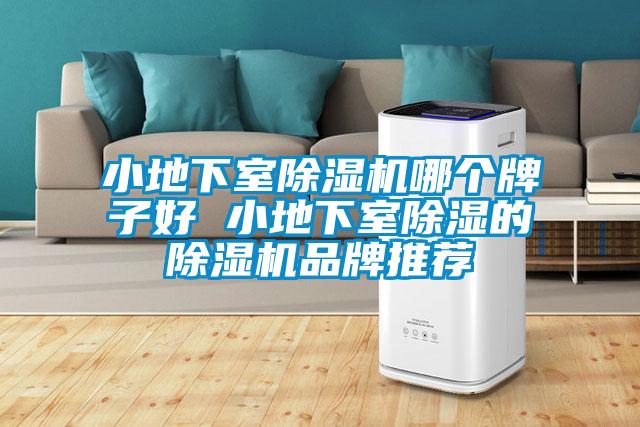 小地下室除湿机哪个牌子好 小地下室除湿的除湿机品牌推荐