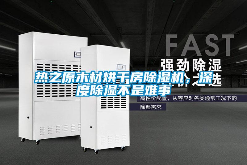 热之原木材烘干房除湿机,深度除湿不是难事
